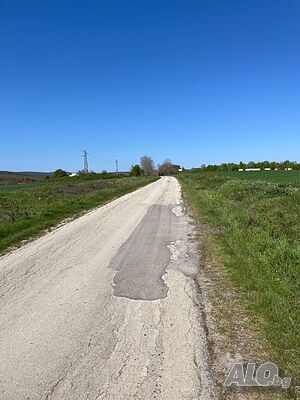 image_9