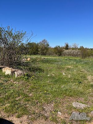 image_8