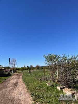 image_10