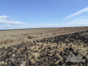 Публична продан от ЧСИ на Земеделска земя в гр. Поморие гр. ПОМОРИЕ, местност ”БОЖУРИТЕ”
