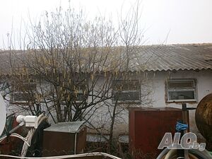 Публична продан от ЧСИ на имот в с. Абрит