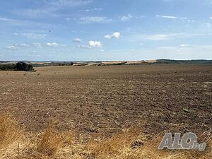 Публична продан от ЧСИ на Земеделски имот в с. Драка 1/4 ид. част от ПИ с. Драка, местност Александр..