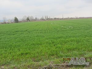 Публична продан от ЧСИ на Земеделски имот в с. Чинтулово