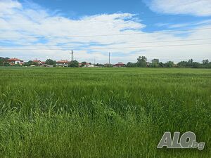 Публична продан от ЧСИ на Земеделска земя в с. Катуница Местност ”Над село”