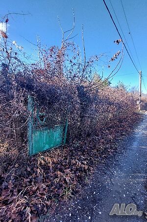 Публична продан от ЧСИ на Парцел в с. Цар Калоян Местността ”Боровик”, с. Цар Калоян, общ. Куклен