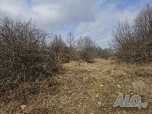 Публична продан от ЧСИ на Парцел в гр. Етрополе гр. Етрополе, бул. ”Александър Стамболийски”