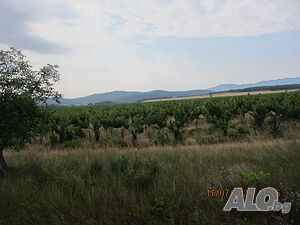 Публична продан от ЧСИ на Земеделски имот в гр. Твърдица