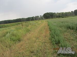 Публична продан от ЧСИ на Земеделски имот в гр. Твърдица