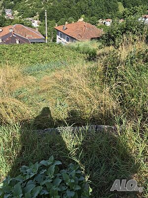 Публична продан от ЧСИ на Парцел в с. Влахово с. Влахово Продажба 312 кв.м В регулация (УПИ) | Парцели за застрояване, Инвестиционни проекти | Влахово