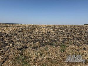 Публична продан от ЧСИ на Земеделска земя в с. Константиново 1/12 ид. част от ПИ, с. Константиново, ..