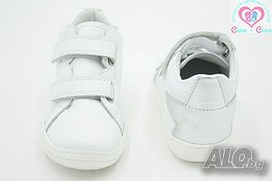 image_8