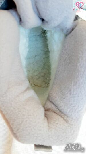 image_5