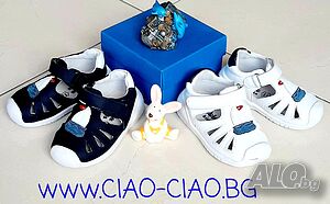 image_4