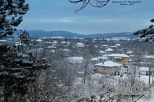 image_14