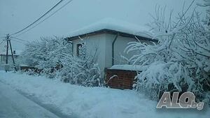 image_15