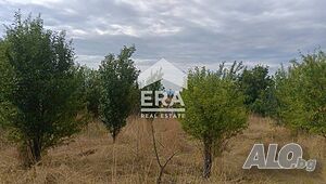 САМО В ЕРА! ЕРА Сити Център продава овощна градина в с. Ковач, обл. Стара Загора