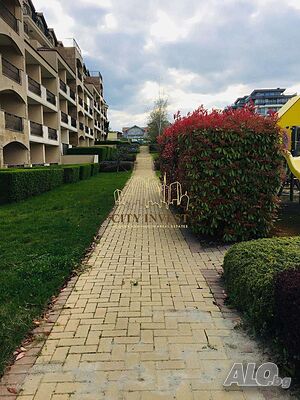 image_10