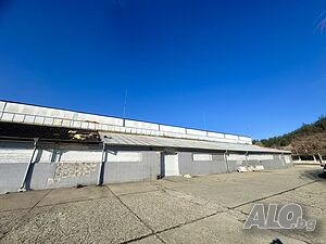 image_7