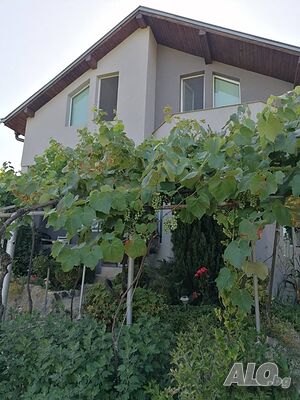 image_3