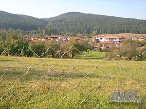 image_8