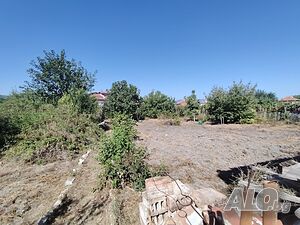 image_11