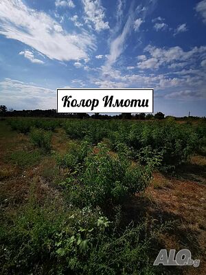 Парцел в село Старо Железаре