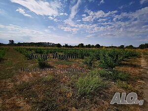image_3