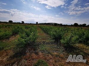 image_4