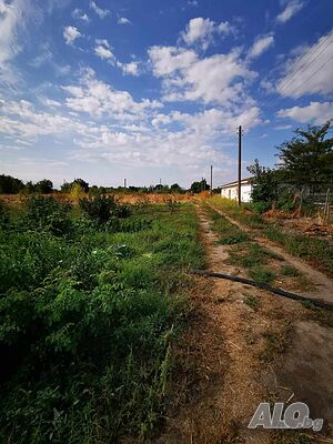 image_5