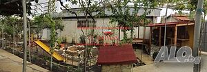 image_11