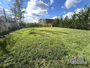 image_10
