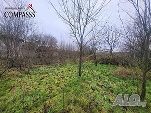 image_12