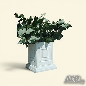 image_7