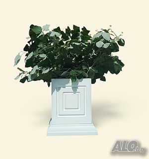 image_8