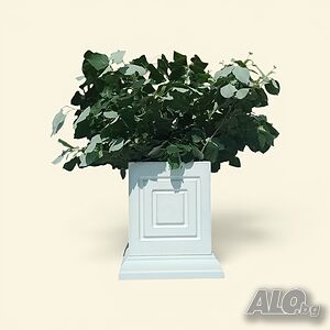 image_3