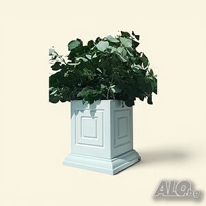 image_9