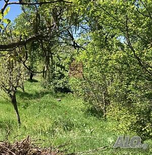 Продажба Парцел гр. Русе - Средна кула 535m²