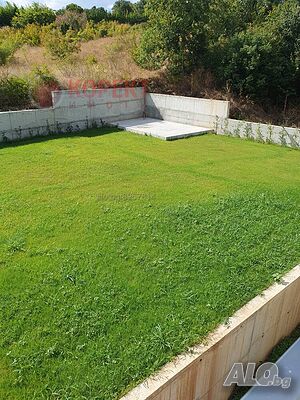image_3