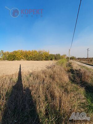 image_8
