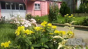image_24