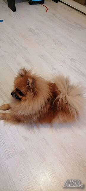image_4