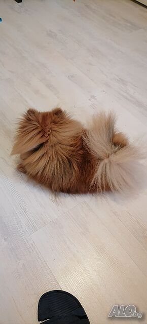 image_6