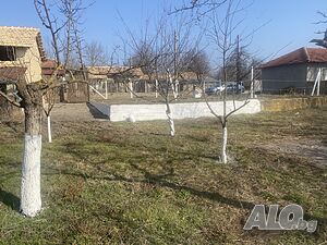 image_9