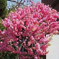 image_2