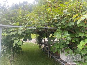 image_11