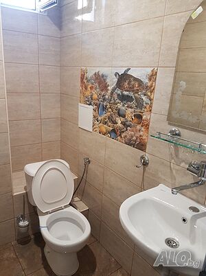 image_15