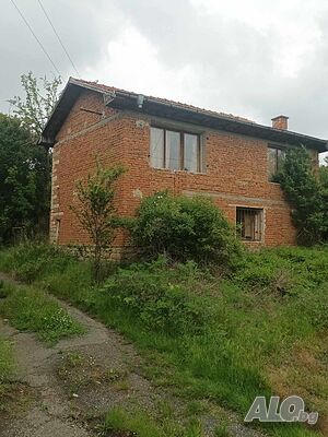 image_7