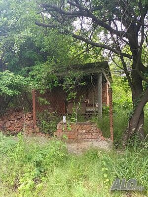 image_9