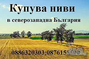 Купувам обработваема земеделска земя(ниви) в област Видин