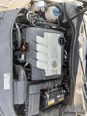 image_7
